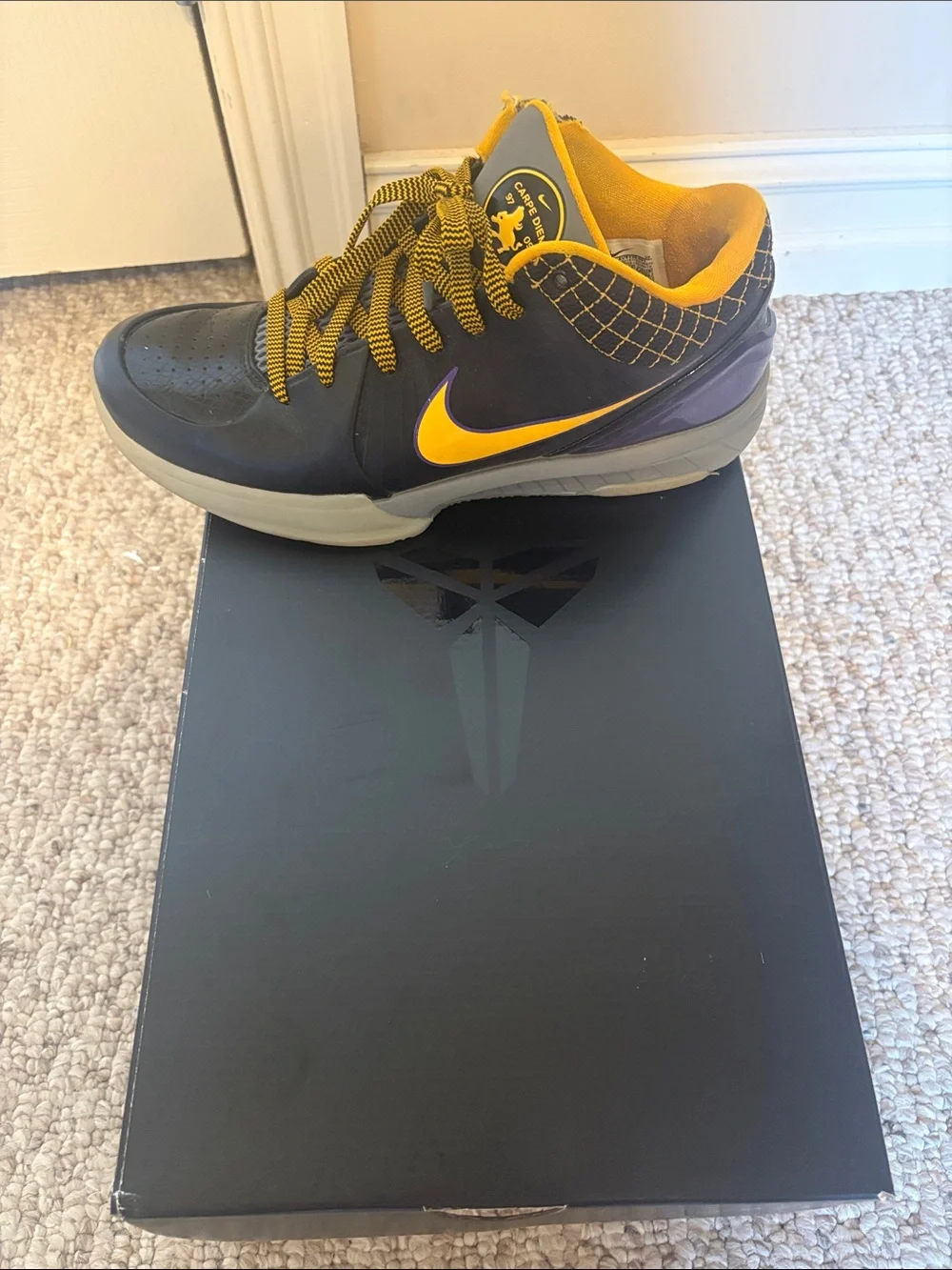 Nike Kobe IV Protro Basketball Shoes